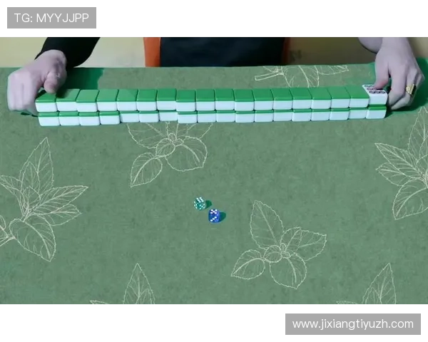 二八杠大小顺序图片完整示意图及规则讲解帮助玩家快速理解二八杠牌面大小排序原则