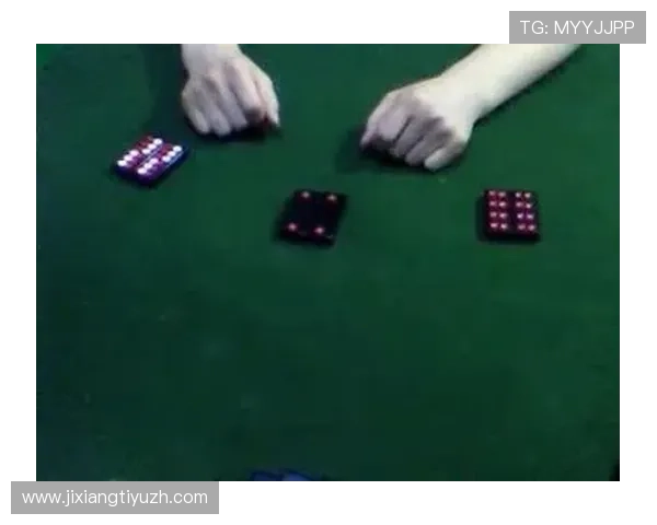 二八杠游戏大全：二八杠游戏的盈利技巧与风险控制策略全攻略