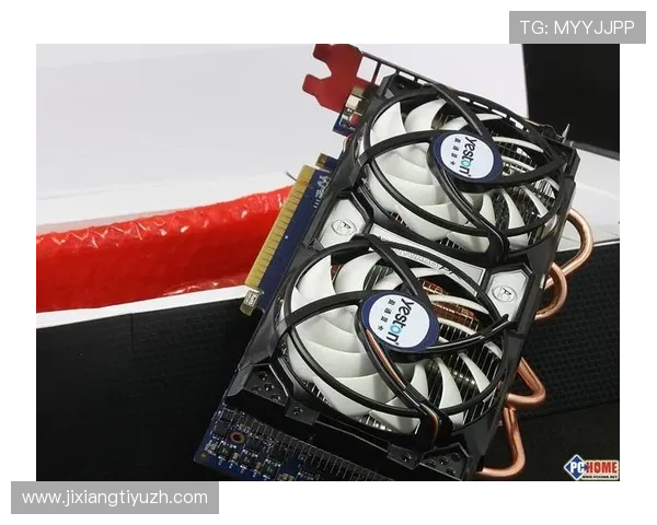 二八杠游戏规则介绍与常见误区，助你避免新手陷阱快速成为游戏高手